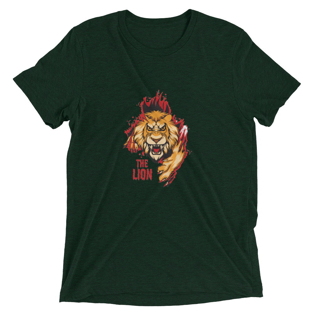 unisex-tri-blend-t-shirt-emerald-triblend-front-64ee2e7b4a946.jpg
