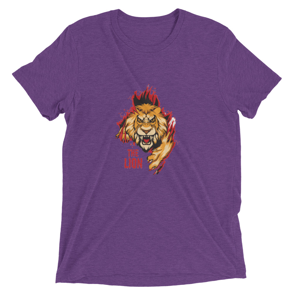 unisex-tri-blend-t-shirt-purple-triblend-front-64ee2e7b4bd78.jpg