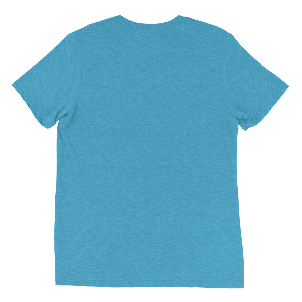 unisex-tri-blend-t-shirt-aqua-triblend-back-651d592c640c2.jpg