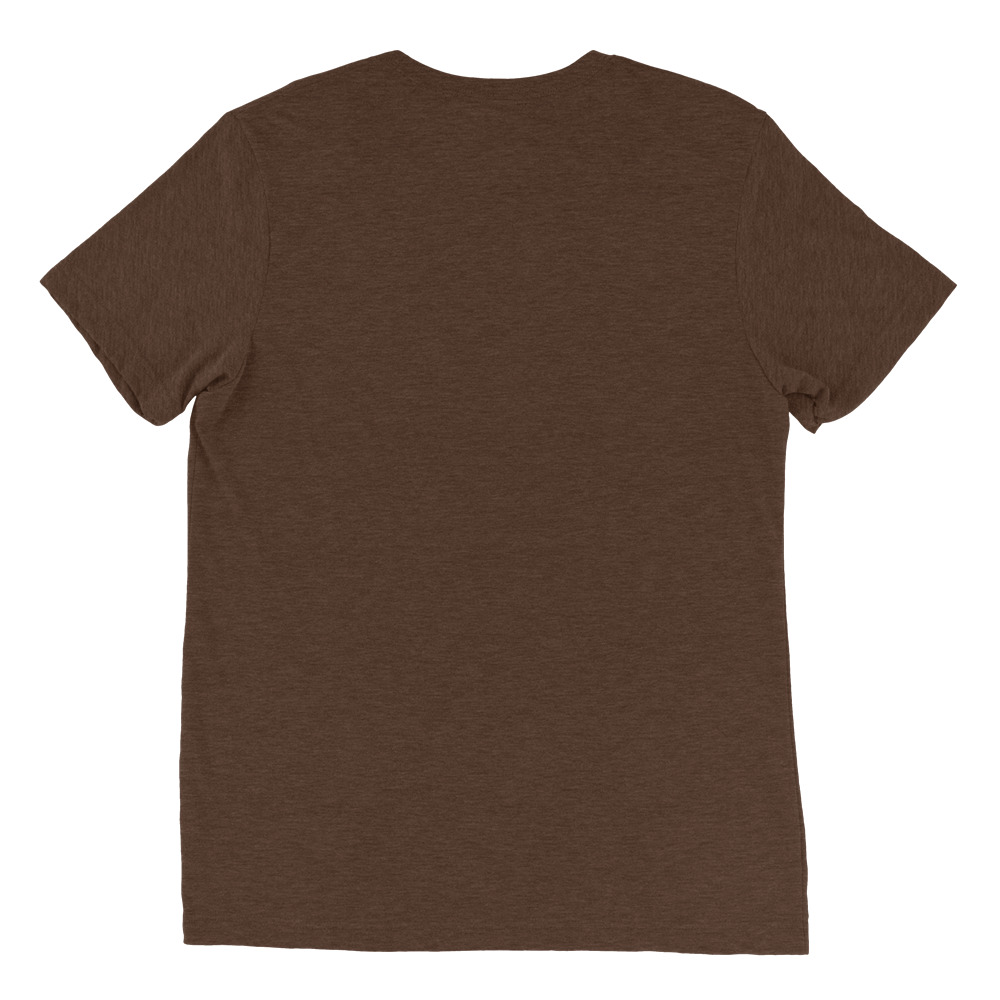 unisex-tri-blend-t-shirt-brown-triblend-back-651d592c4492f.jpg