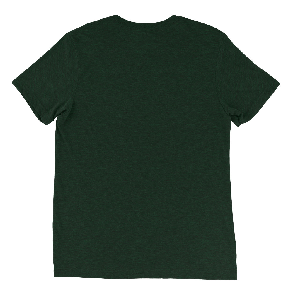 unisex-tri-blend-t-shirt-emerald-triblend-back-651d592c437e8.jpg