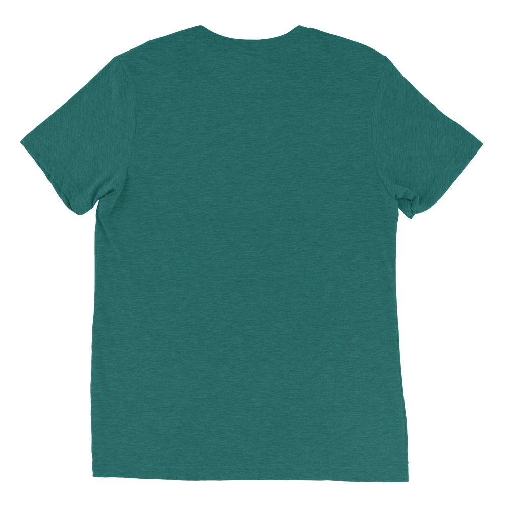unisex-tri-blend-t-shirt-teal-triblend-back-651d592c51125.jpg