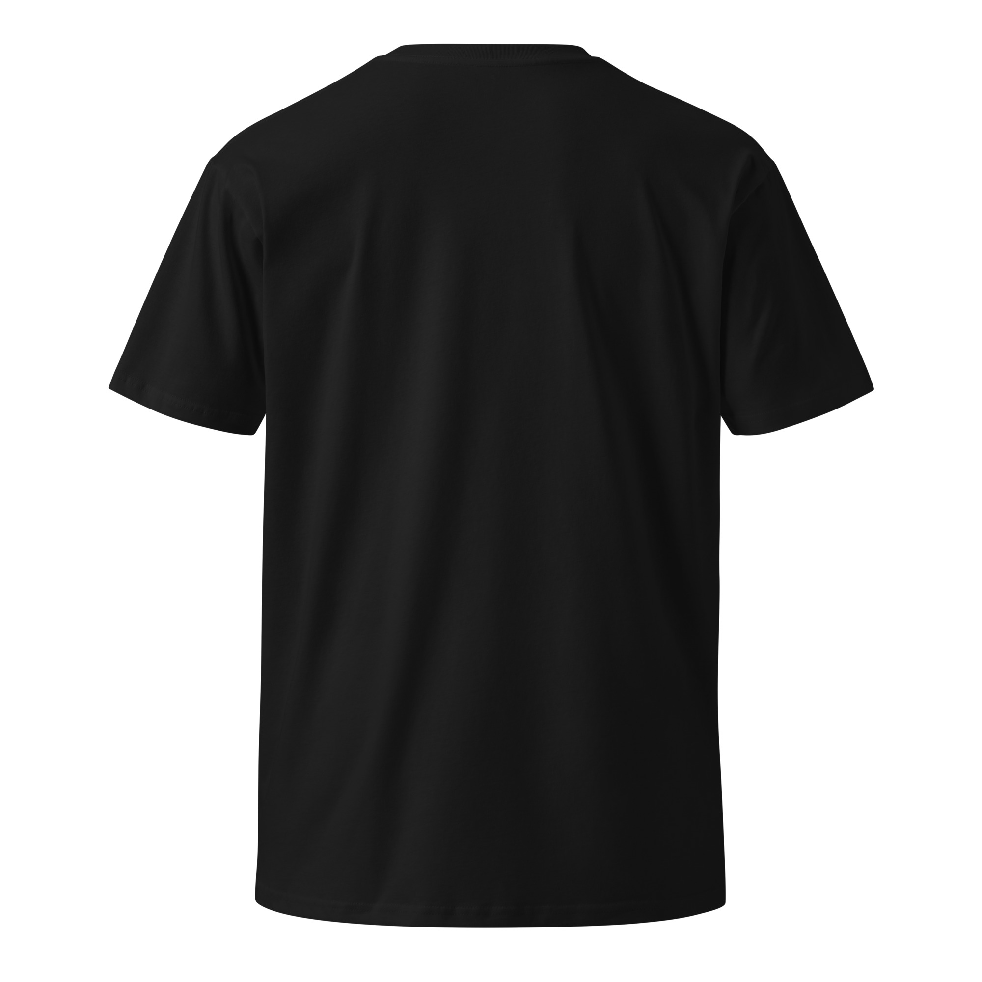 unisex-premium-t-shirt-black-back-65f7e1a1958a5.jpg