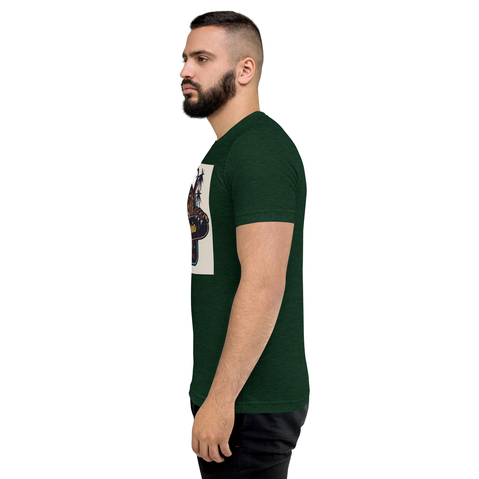 unisex-tri-blend-t-shirt-emerald-triblend-left-65f6b4fd4f953.jpg